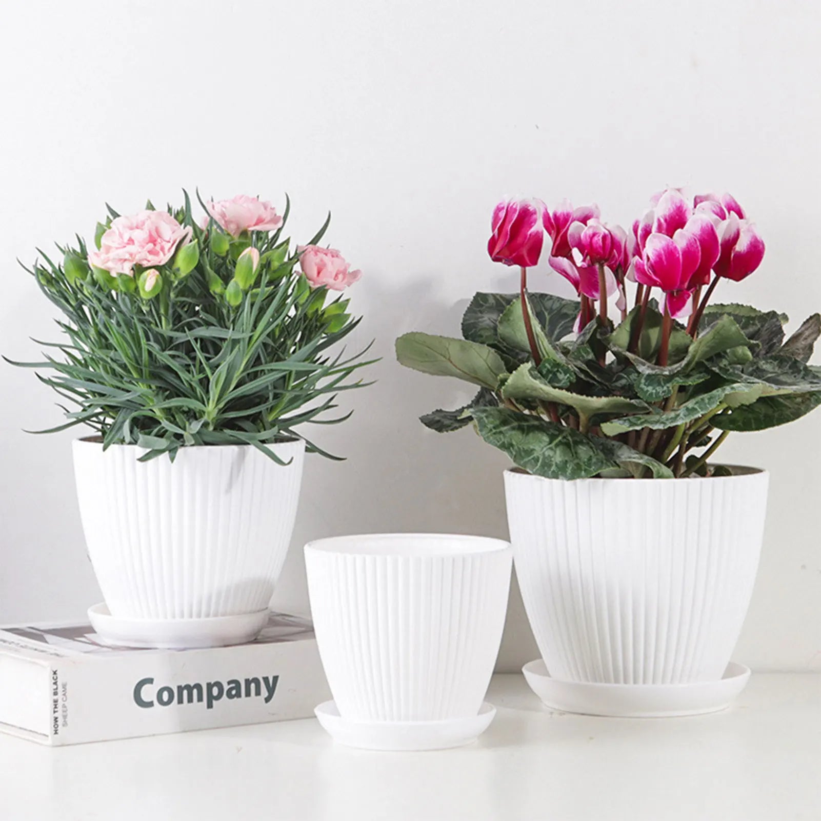 Plastic Flower Pot Succulent Plant Pot with Tray Green Dill Round Double Layer Small Flowerpot Home Office Desktop Decoration
